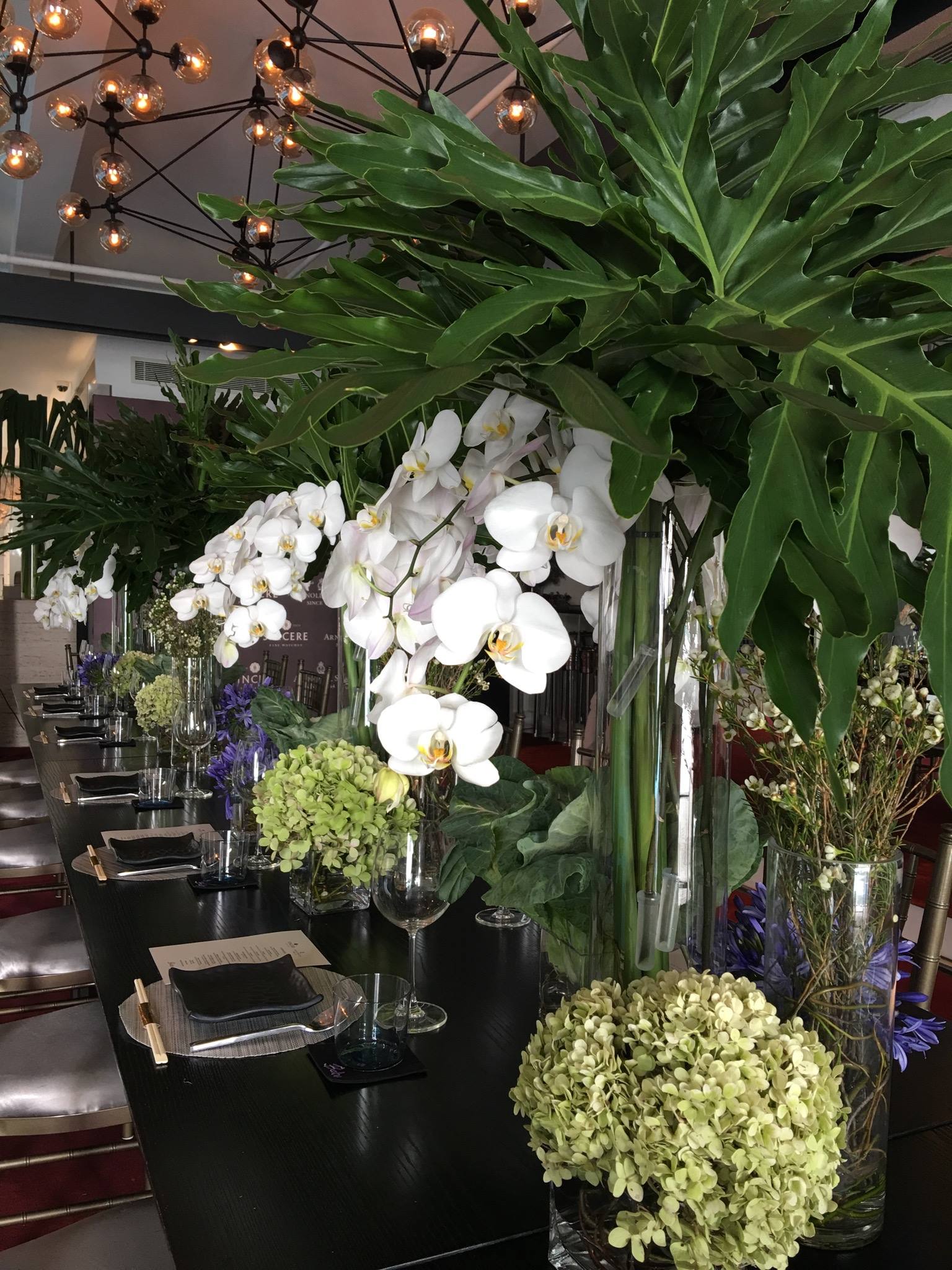 Wintergreen Flower PLT | EVENTS - Arnold & Son